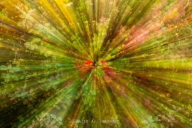 RAC_240829_566