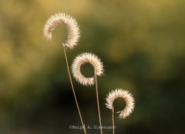 RAC_241014_140-Edit