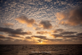 RAC_250212_142