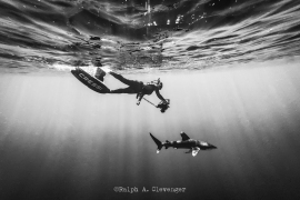 RAC_211216_309