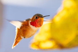 RAC_241124_58-Edit