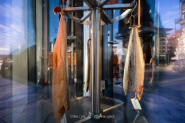 RAC_190103_20