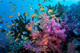 RAC_240112_032